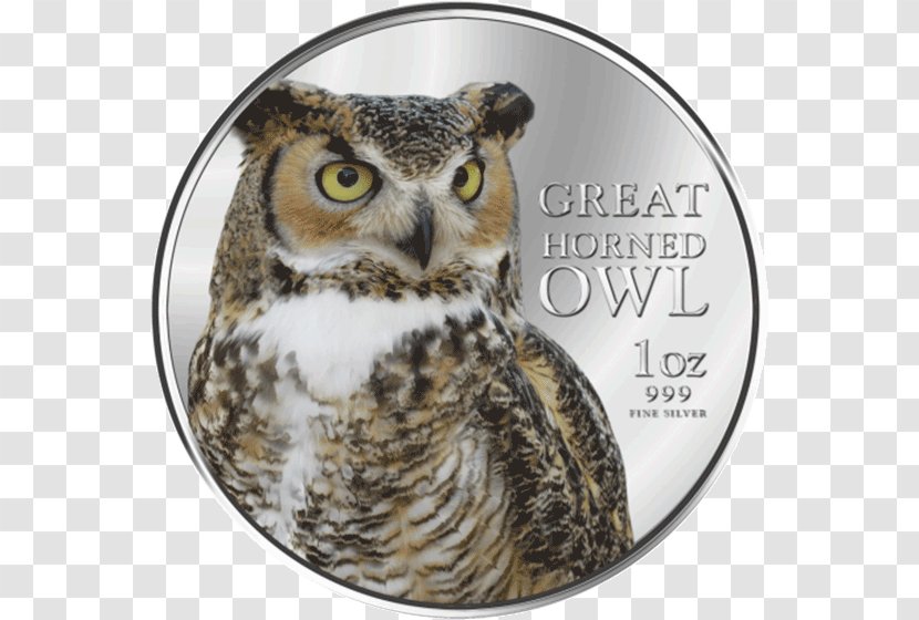 Great Horned Owl Bird Of Prey Beak - Silver Coin Transparent PNG