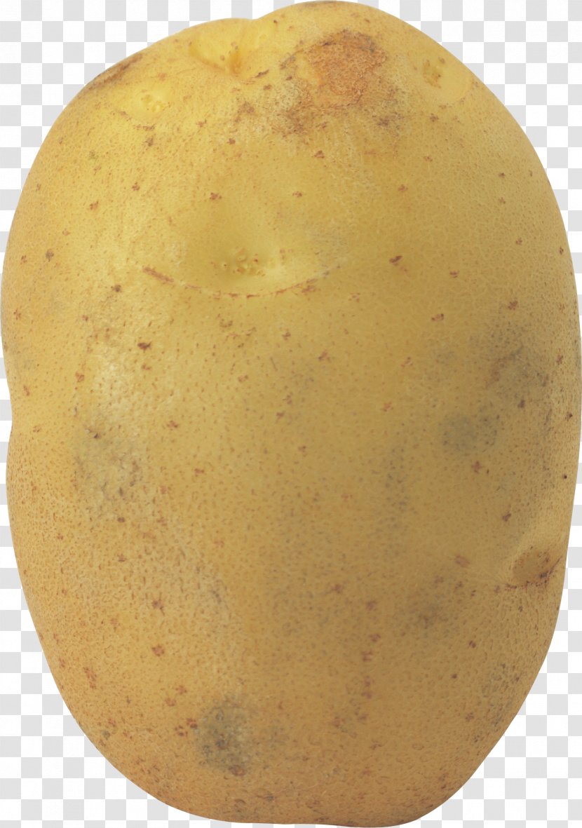 Potato Clip Art - Photography - Images Transparent PNG
