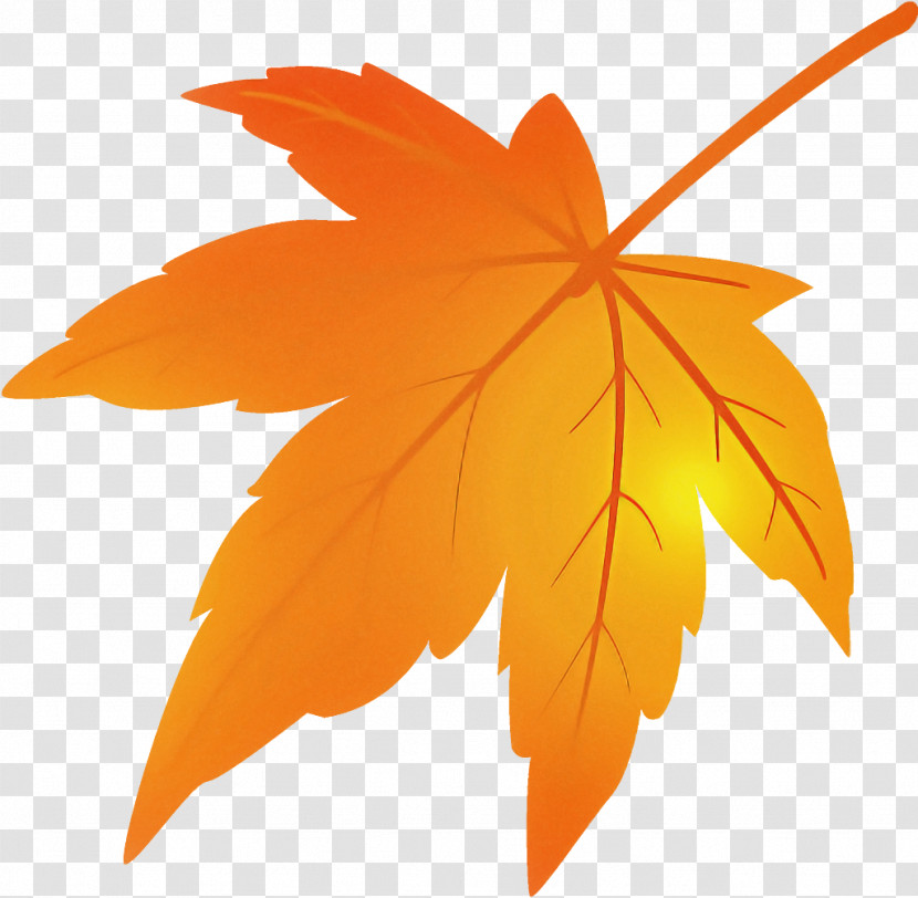 Maple Leaf Fallen Leaf Dead Leaf Transparent PNG