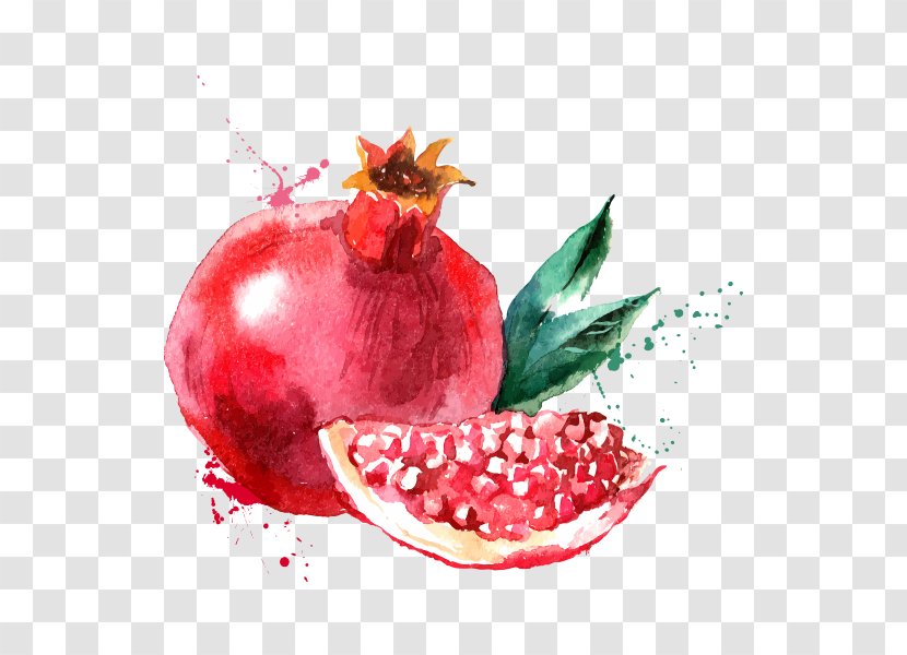 Vector Graphics Stock Photography Watercolor Painting Drawing Illustration - Strawberry - Granado Transparent PNG