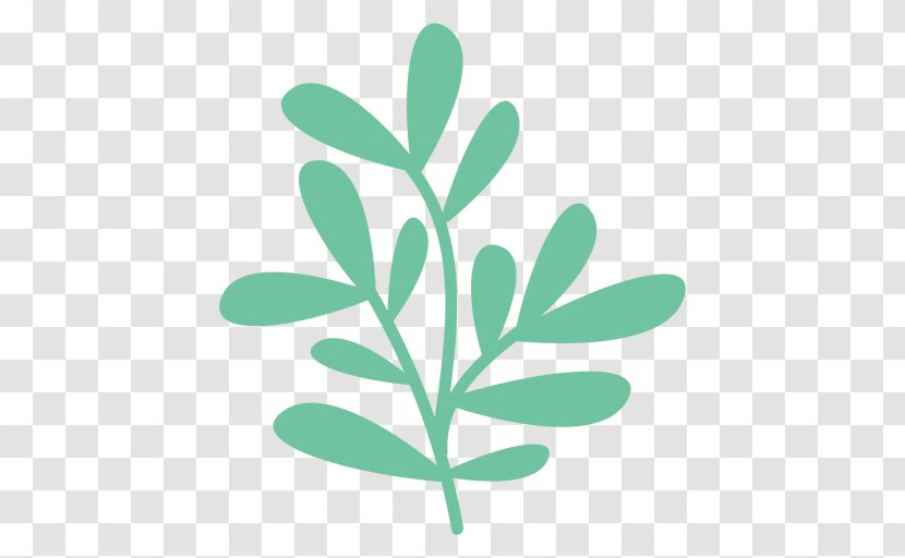 Leaf Plant Stem - Tree - Doodles Transparent PNG