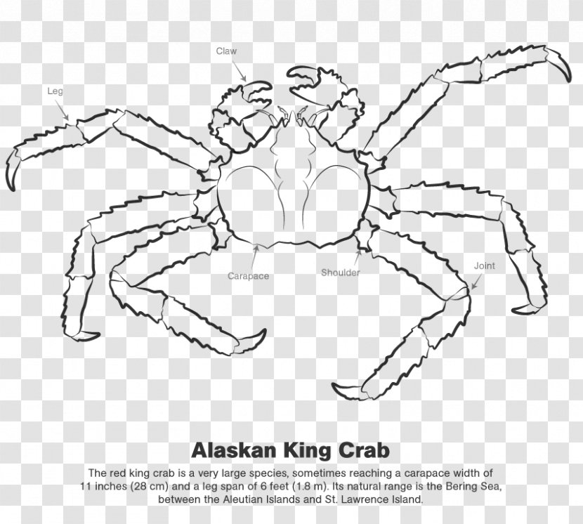 Crab Line Art Drawing /m/02csf - Area Transparent PNG