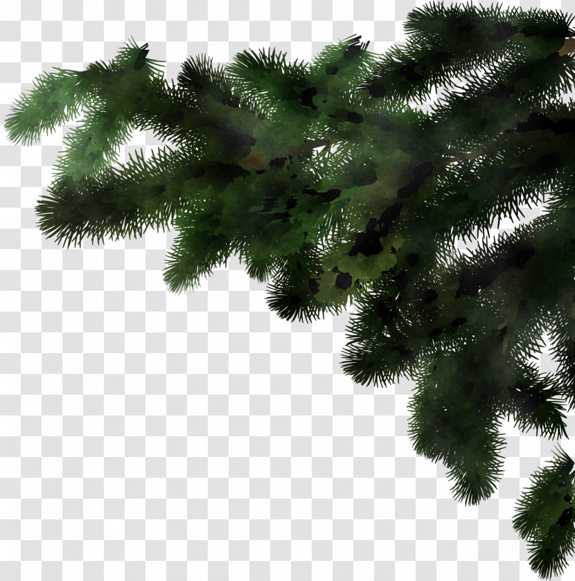 Christmas Tree Transparent PNG