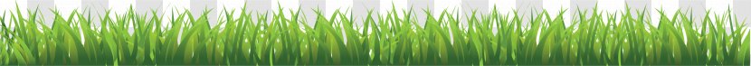 Lawn Garden Clip Art - Grass Family Transparent PNG