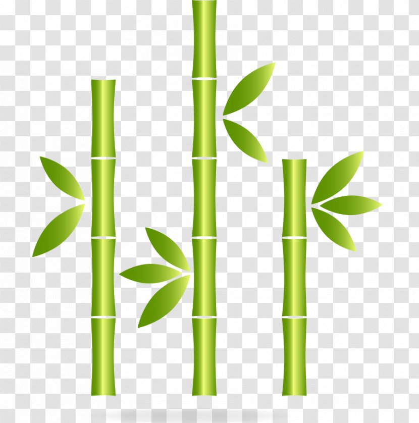 Bamboo Green Icon - Grass Family - Vector Decorative Pattern Plants Transparent PNG
