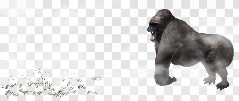 Gorilla Common Chimpanzee Icon - Dog Breed Group - King Kong Transparent PNG