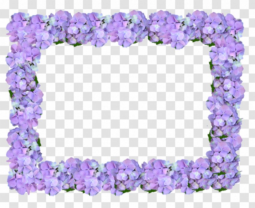 Lei Jewellery Petal Transparent PNG