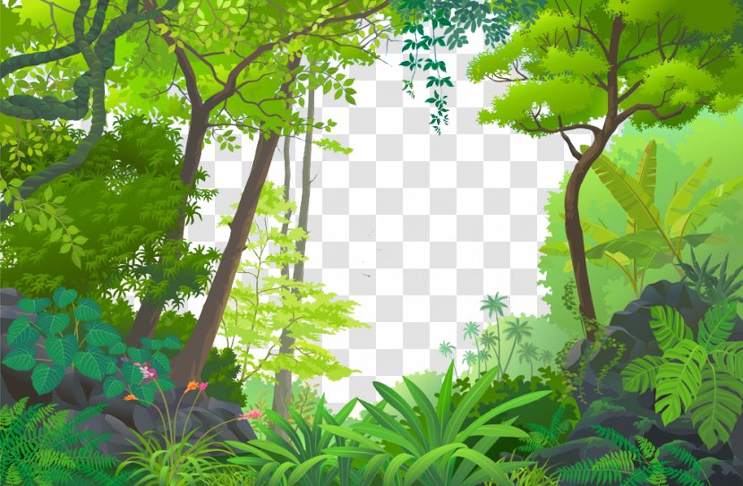 Jungle Euclidean Vector Tropical Rainforest - Grass - Cartoon Forest Transparent PNG