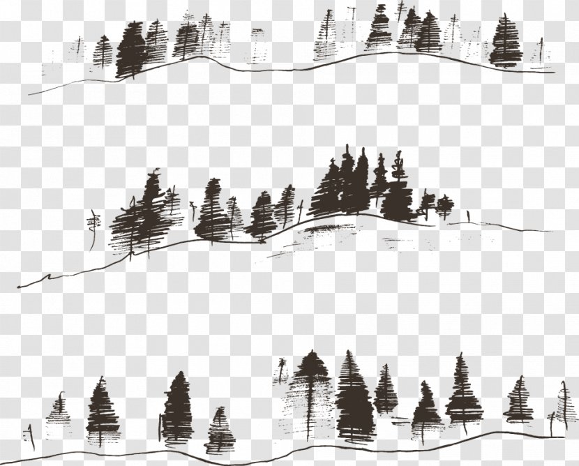 Fir Engraving Drawing Contour - Monochrome - Vector Lines Mountain Woods Transparent PNG