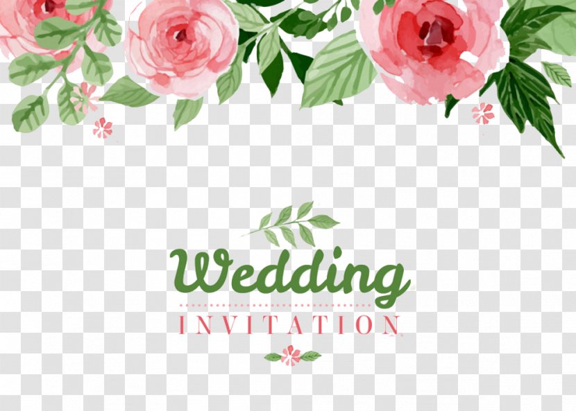 Wedding Invitation Paper Flower Clip Art - Floristry - Flowers Hand-painted Background Transparent PNG