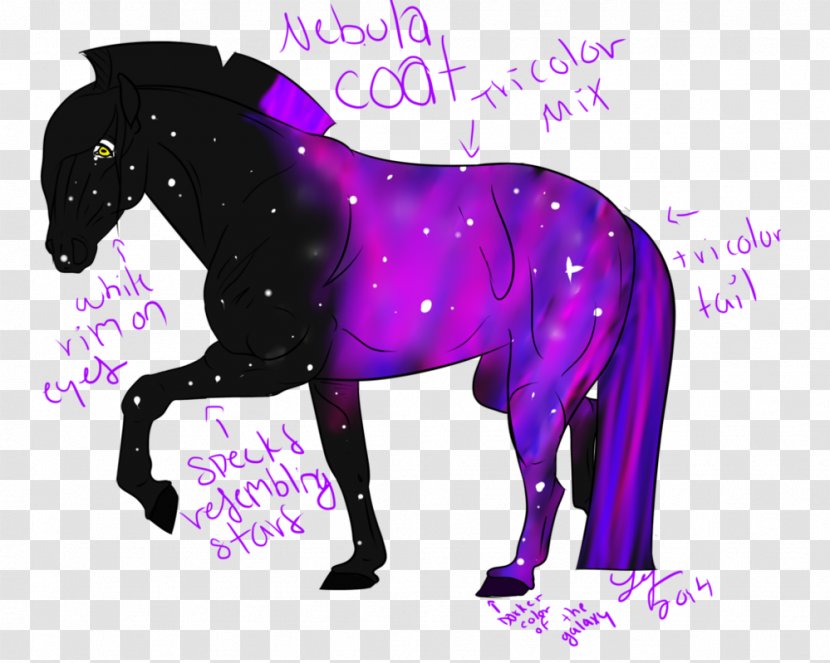 Mustang Stallion Pack Animal Freikörperkultur Purple - Horse Transparent PNG