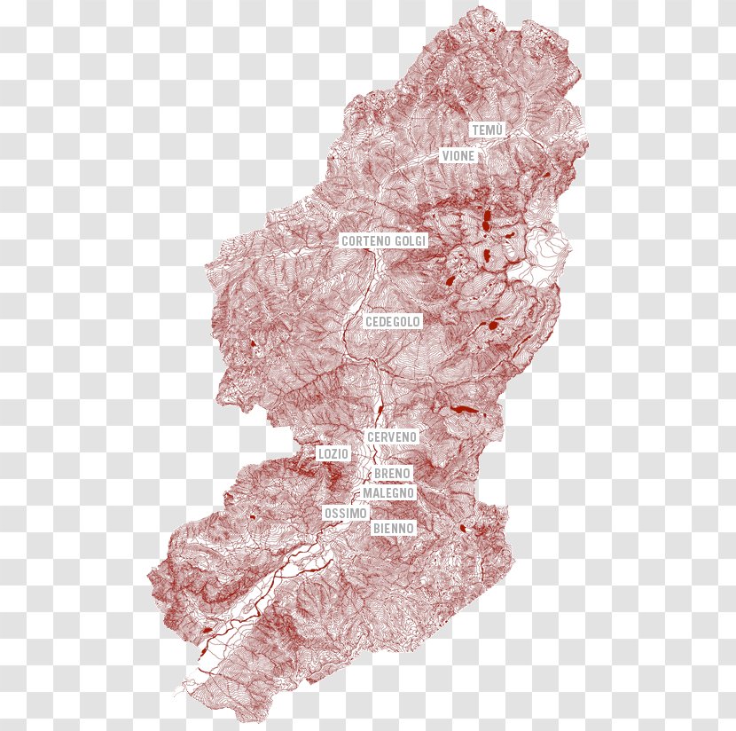 Pink M Map Tuberculosis Transparent PNG