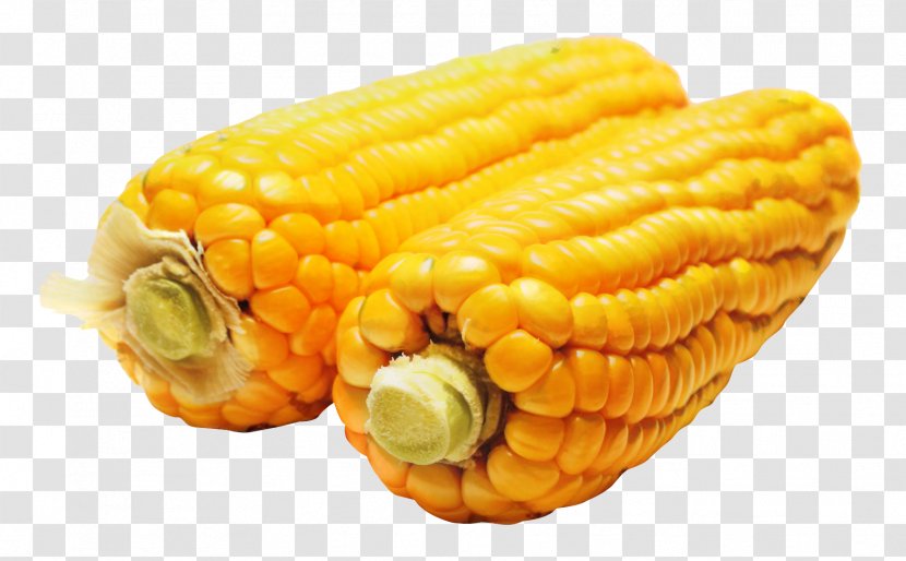 Popcorn Cartoon - Corn On The Cob - Dish Ingredient Transparent PNG