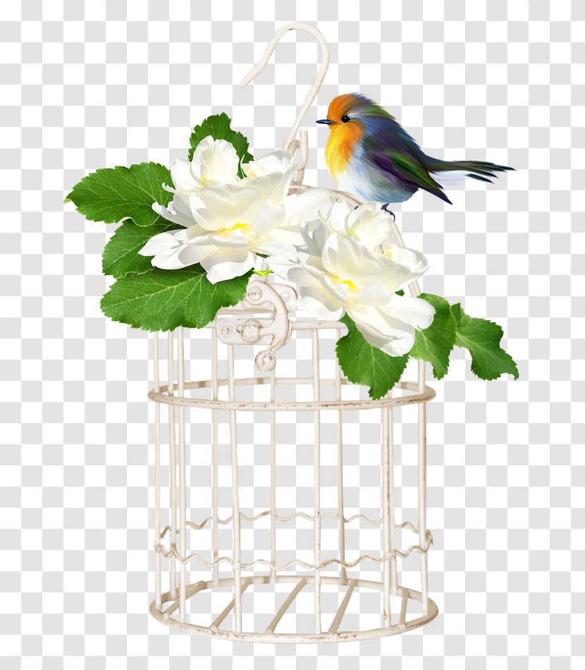 Birdcage Clip Art - Flowerpot - Bird Transparent PNG