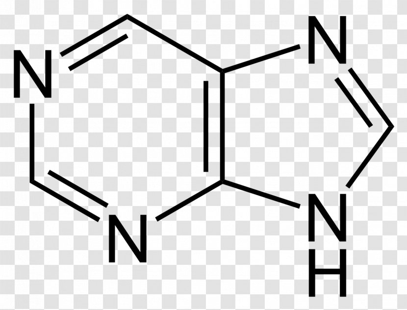 Purine Chemical Compound Substance Alkaloid Chemistry - Frame - Science Transparent PNG