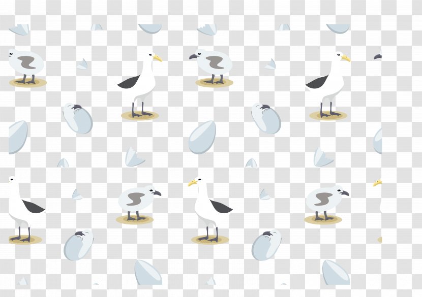 Euclidean Vector Beach - Animal - Albatross Collection Transparent PNG