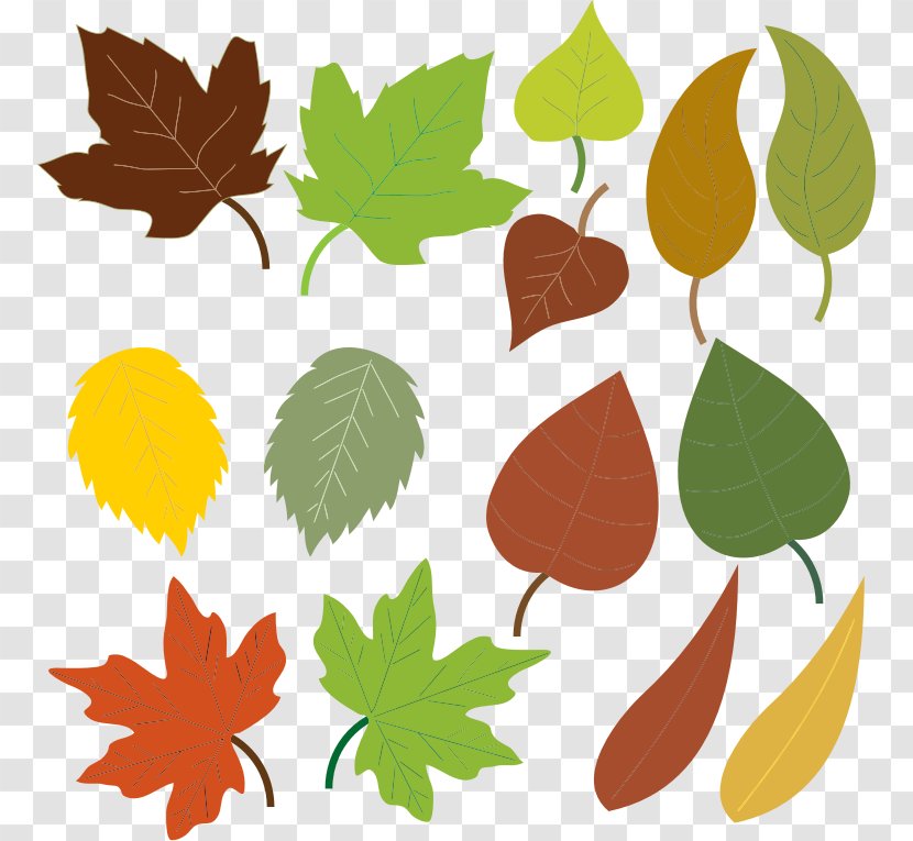 Autumn Leaf Color Clip Art - Fruit Transparent PNG