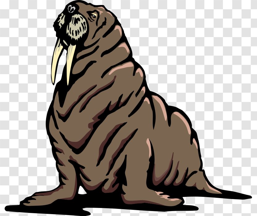 Walrus Free Content Clip Art - Dog Like Mammal - Pictures Transparent PNG