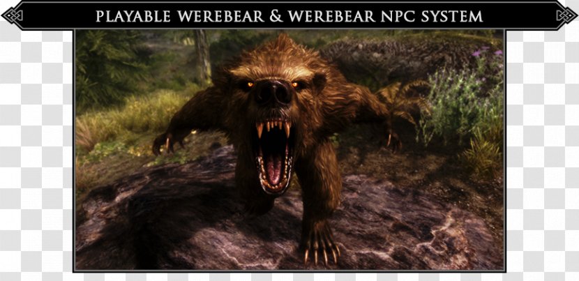 The Elder Scrolls V: Skyrim – Dragonborn Nexus Mods Werebear Special Edition - Fauna Transparent PNG