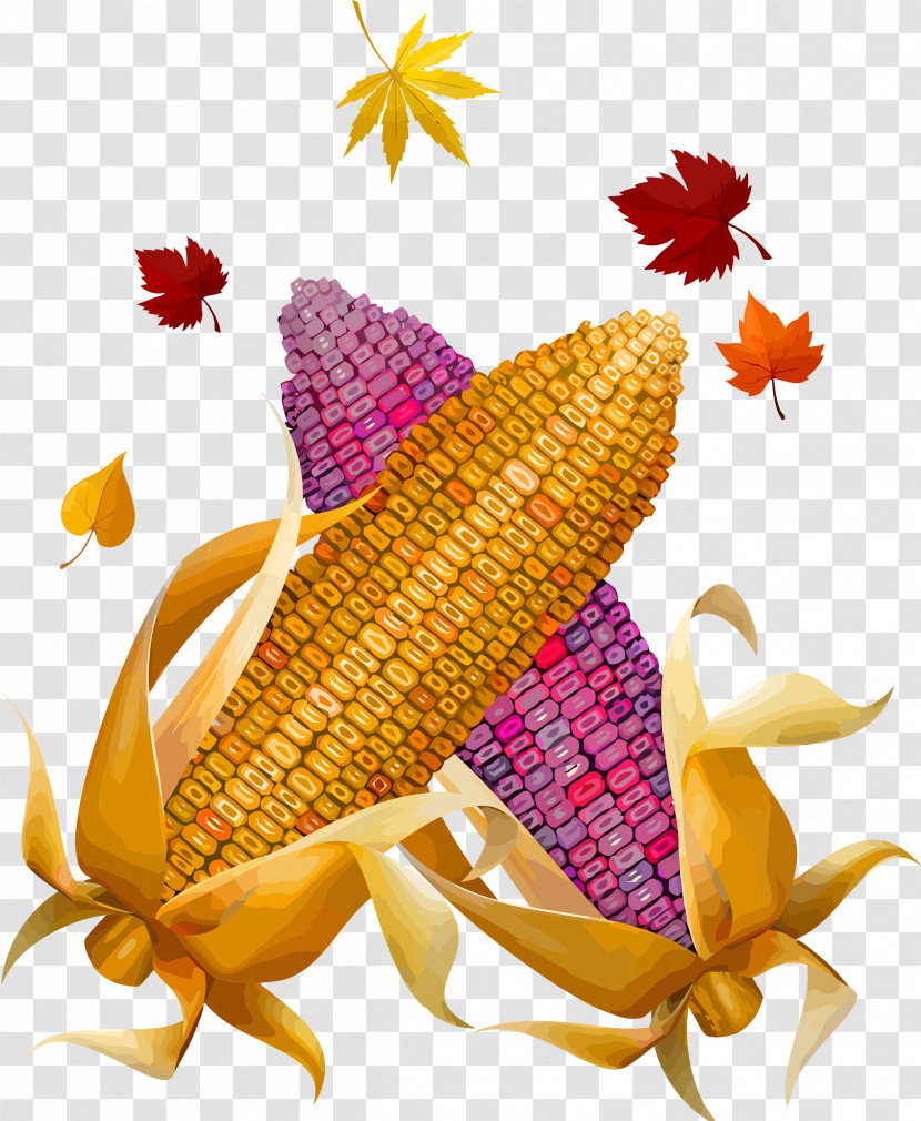 Thanksgiving Harvest Transparent PNG