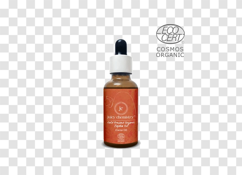 Carrier Oil Seed Essential Argan Transparent PNG