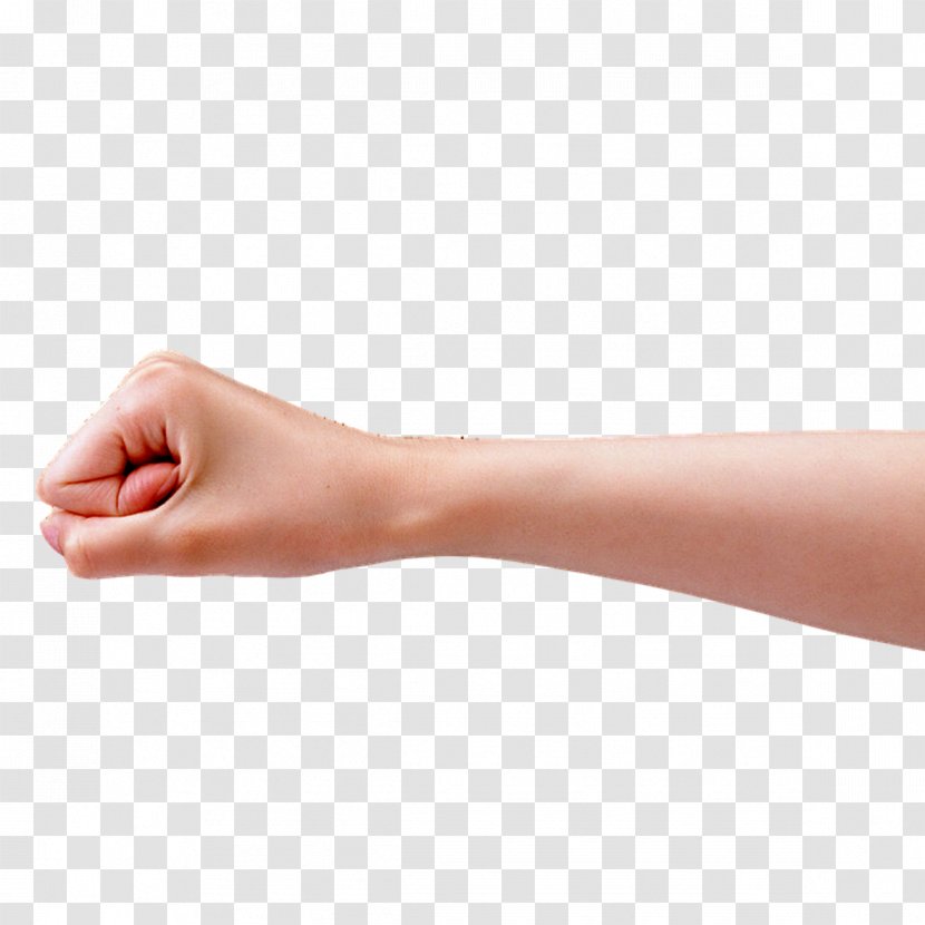 Thumb Hand Model Nail - Joint - Man's Finger Transparent PNG
