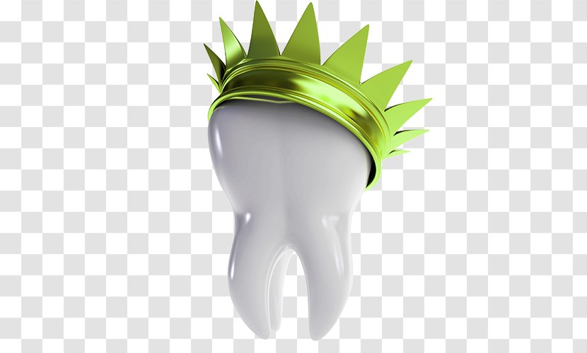Crown Dentistry Bridge Dental Restoration Dentures - Green - 3D Health Chart Transparent PNG