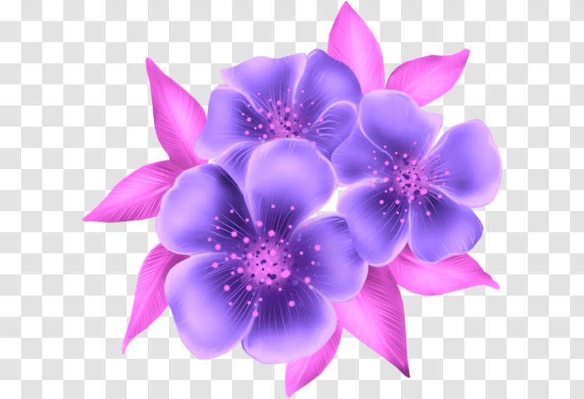 Flower Blue Clip Art - Magenta Transparent PNG