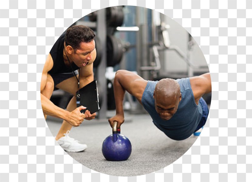 Personal Trainer Fitness Centre Exercise Physical - Arm - Welcome Vip Treatment Transparent PNG