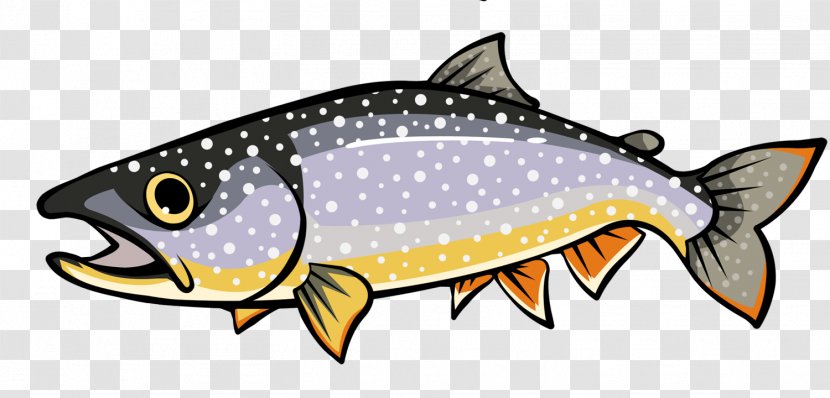 Fish Seafood Image Design - Perch - Fishes Transparent PNG