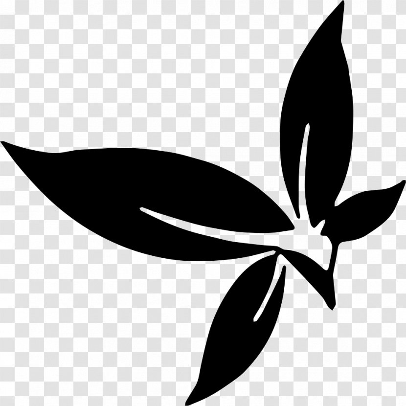 Clip Art Herb - Leaf - Herbs Icon Transparent PNG