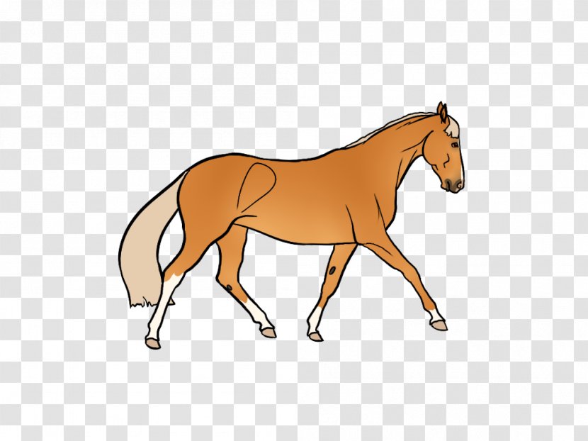 Foal Mane Mare Stallion Colt - Horse - Mustang Transparent PNG