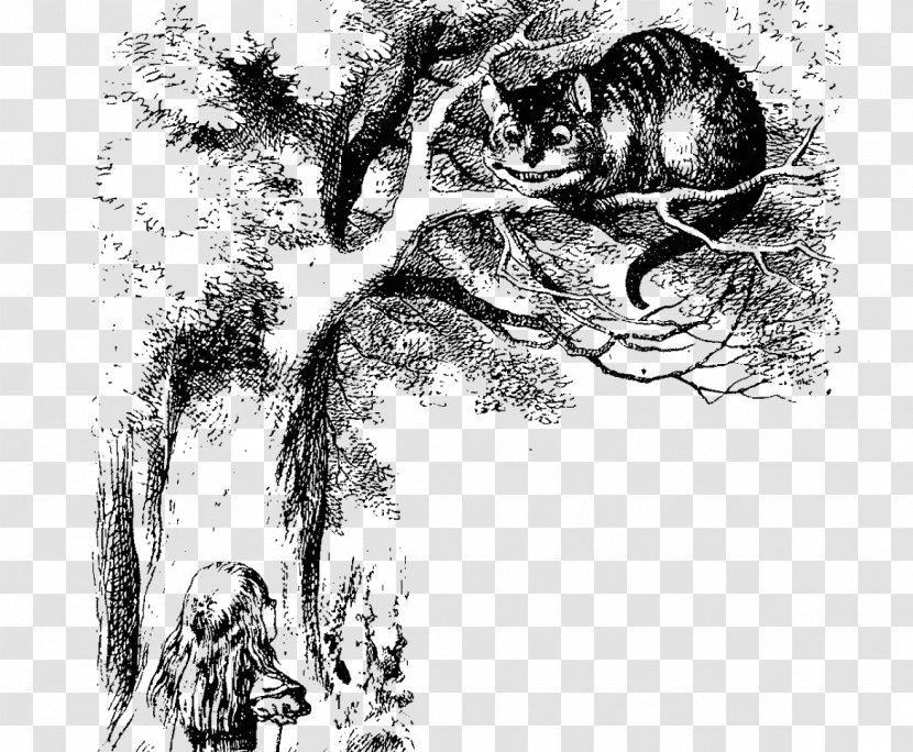 Cheshire Cat Alice's Adventures In Wonderland Mad Hatter March Hare Queen Of Hearts - Monochrome Photography - Alice Transparent PNG
