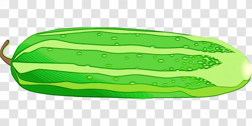 Green Plant Vegetable Cucumber - Paint Transparent PNG