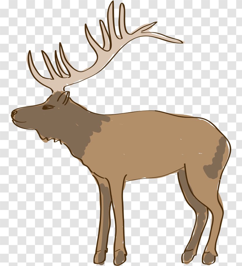 Reindeer Drawing Line Art - Animal - Hand-painted Transparent PNG