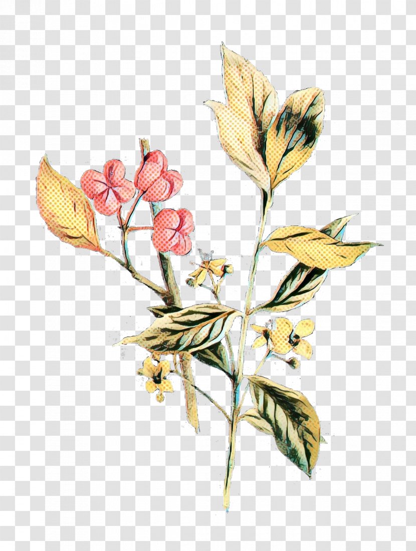 Tulip Cut Flowers Alstroemeriaceae Floral Design - Lily Family Transparent PNG