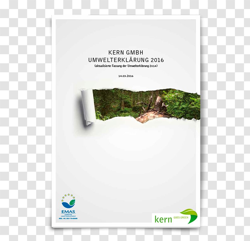 Briefbogen à La Carte Eco-Management And Audit Scheme 0 Umwelterklärung First Aid Supplies - June - Welter Transparent PNG