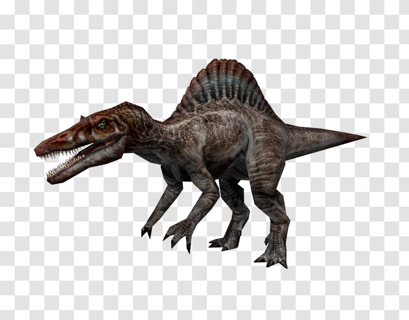 Spinosaurus Tyrannosaurus Velociraptor Dinosaur Transparent PNG