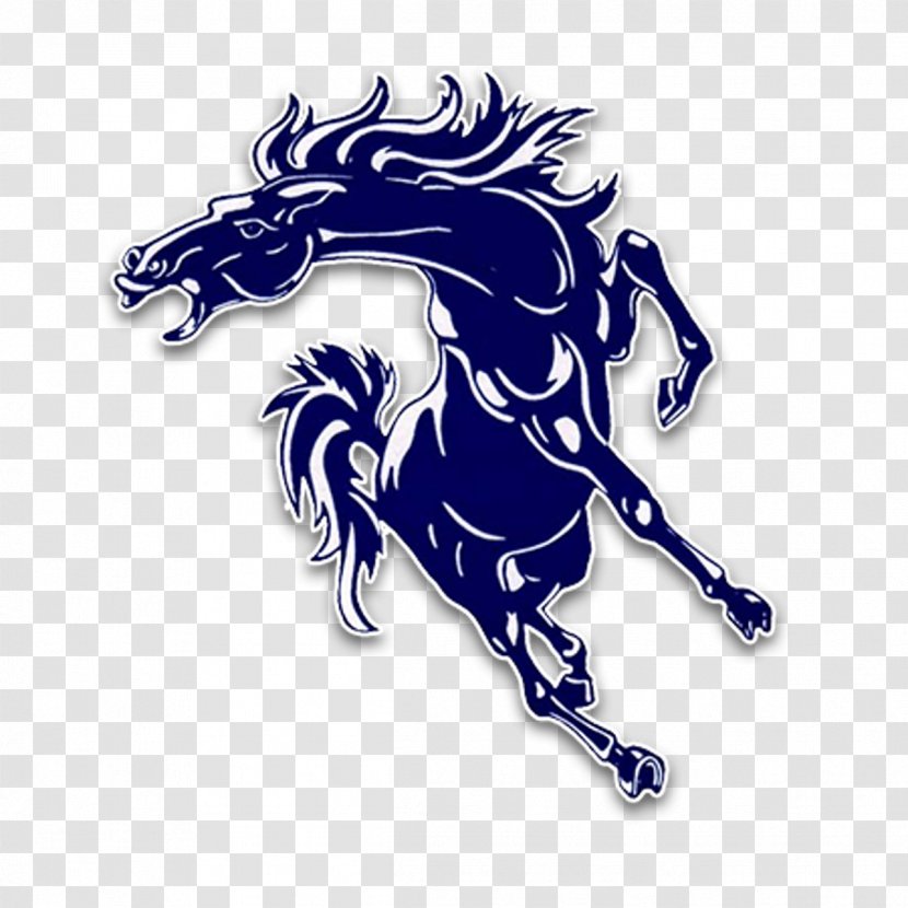 North Mesquite High School Stallion National Secondary - Diploma Transparent PNG