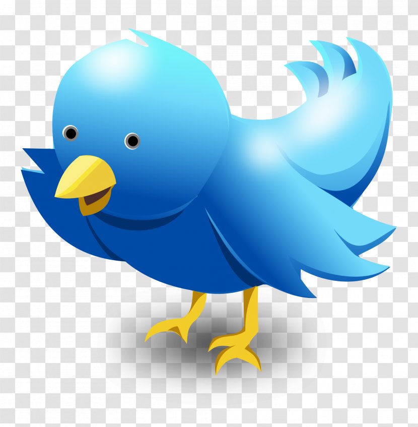 Logo - Organism - Twitter Bird Vector Transparent PNG
