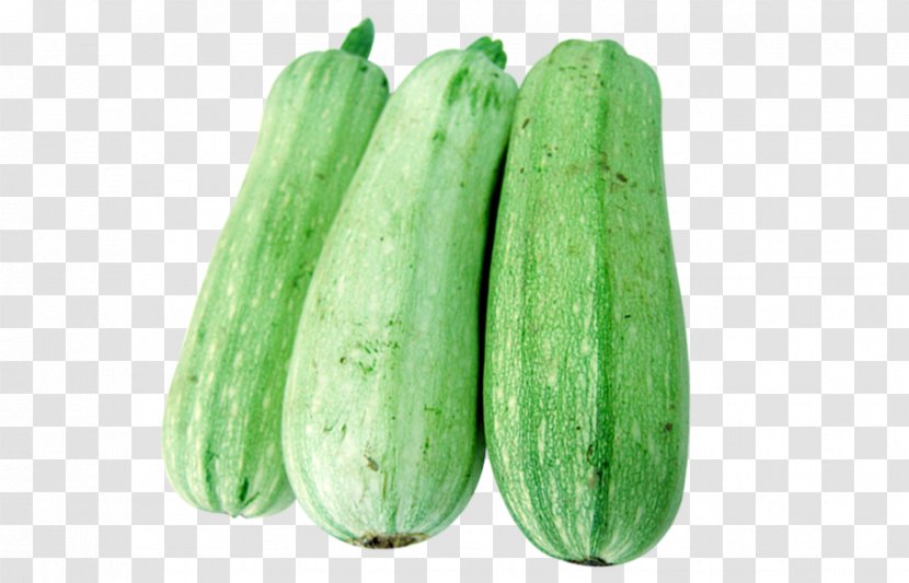 Cucumber Calabaza Vegetable Wax Gourd - And Melon Family - Green Vegetables Transparent PNG