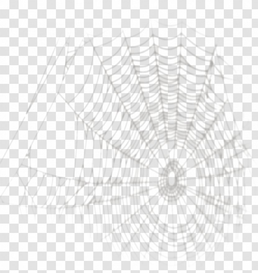 Spider Web Drawing - Silhouette - Cartoon Painted Material Transparent PNG