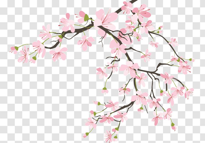 Flower Petal Cherry Blossom Floral Design Leaf Transparent PNG