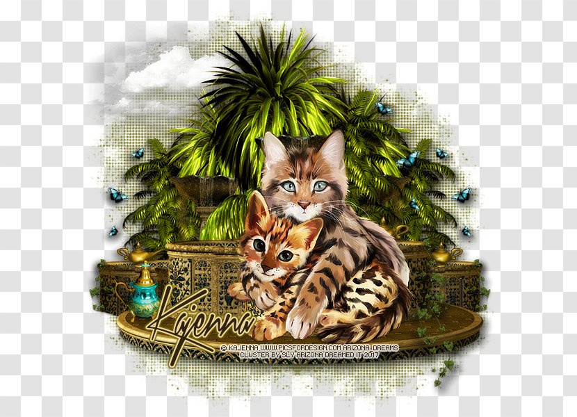 Bengal Cat Toyger Kitten Tabby Wildcat Transparent PNG