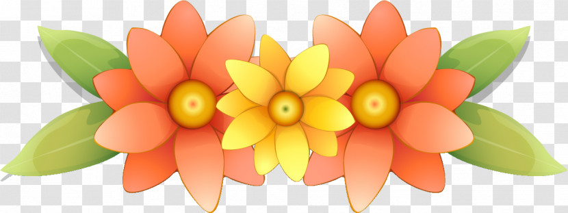 Flower Border Flower Background Transparent PNG