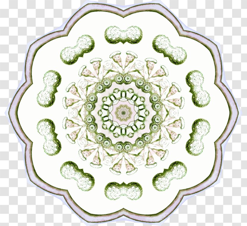 Cut Flowers - Green - Drawing Symmetrical Rosette Transparent PNG