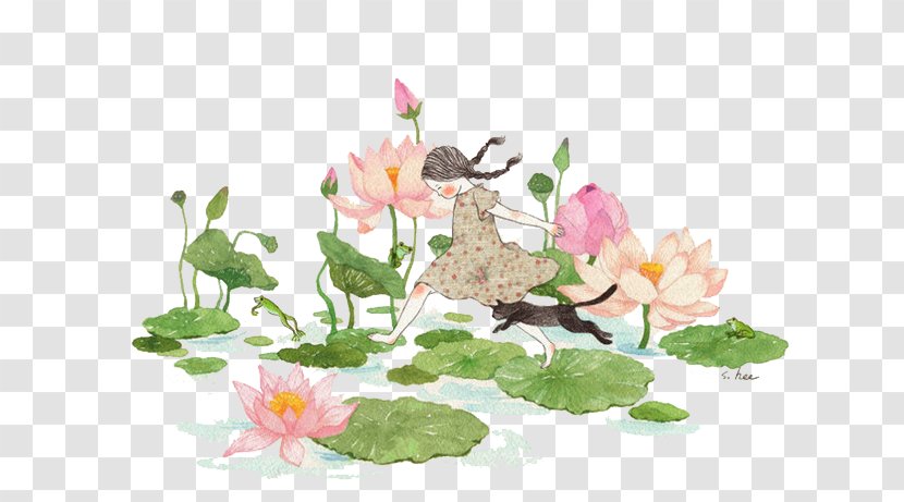 Nelumbo Nucifera Child Drawing - Cartoon - Hand-painted Lotus Transparent PNG