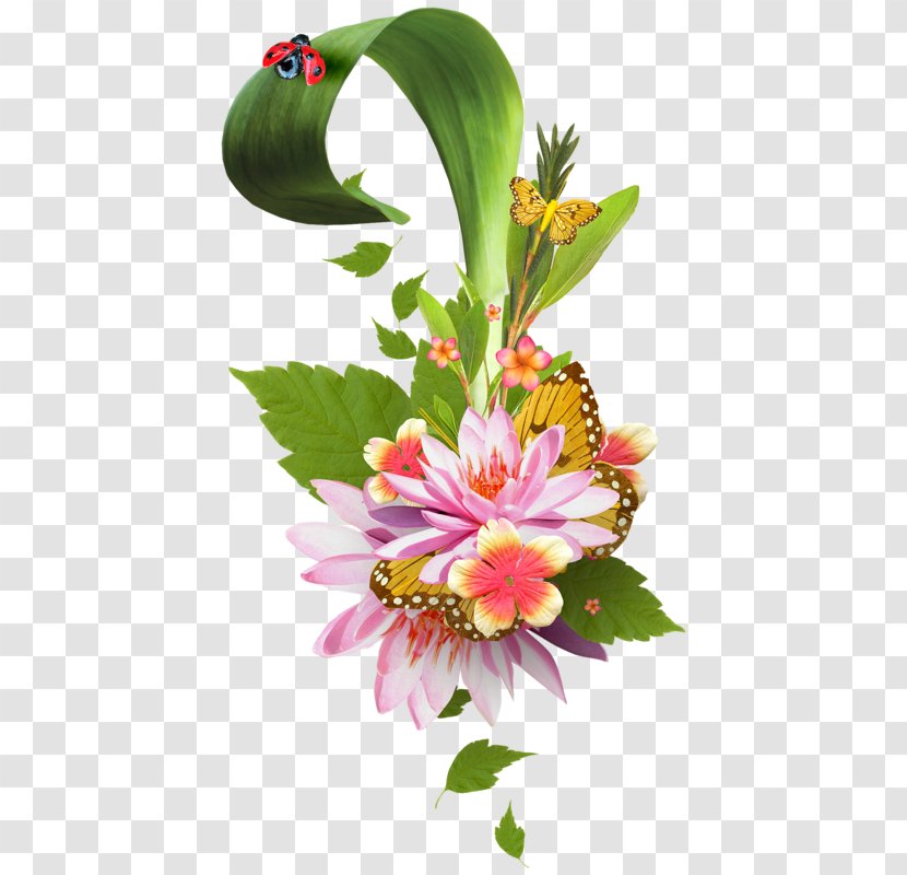 Floral Design Photography Clip Art - Annual Plant Transparent PNG