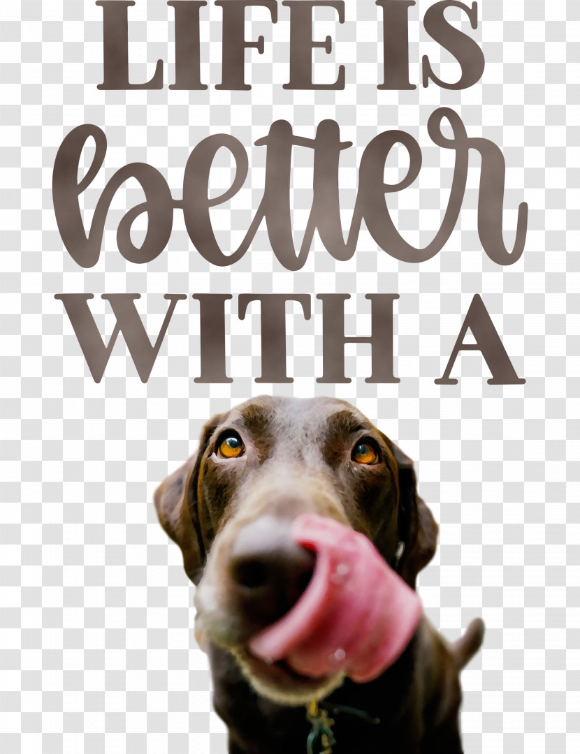 Dog Snout Font Breed Meter Transparent PNG