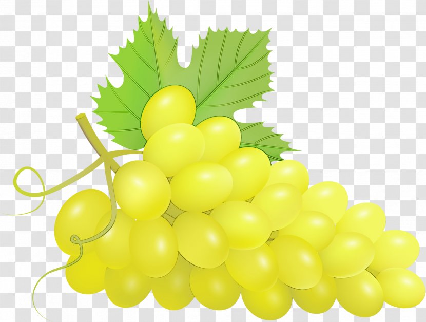 Grape Seedless Fruit Grapevine Family Natural Foods - Plant - Leaf Leaves Transparent PNG